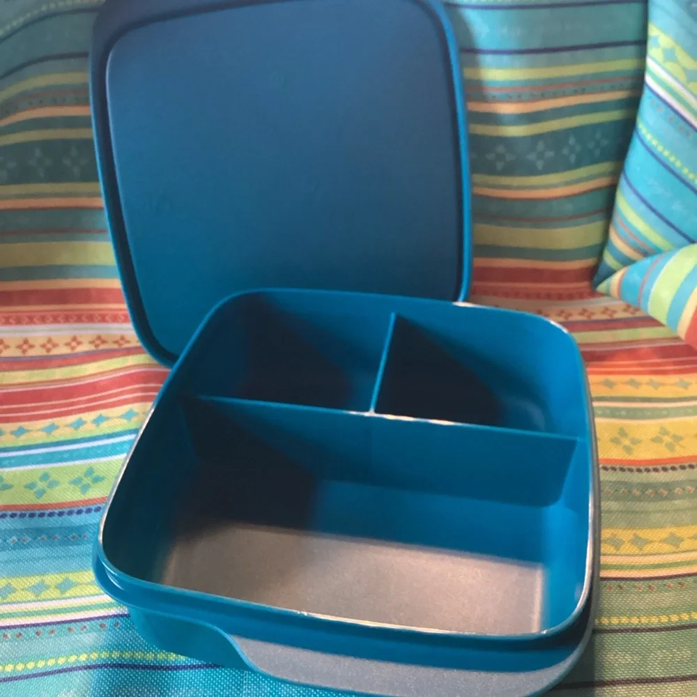 Tupperware Lunch-It Containers - set of 2